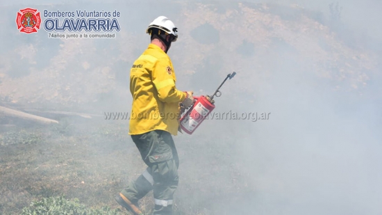 Bomberos de Olavarría participó del Segundo curso de Bombero Combatiente Forestal