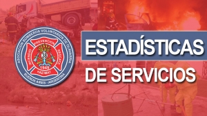 Estadísticas de Servicios 2019
