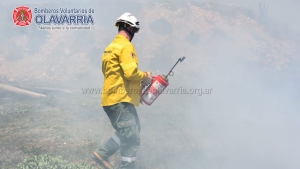 Bomberos de Olavarría participó del Segundo curso de Bombero Combatiente Forestal