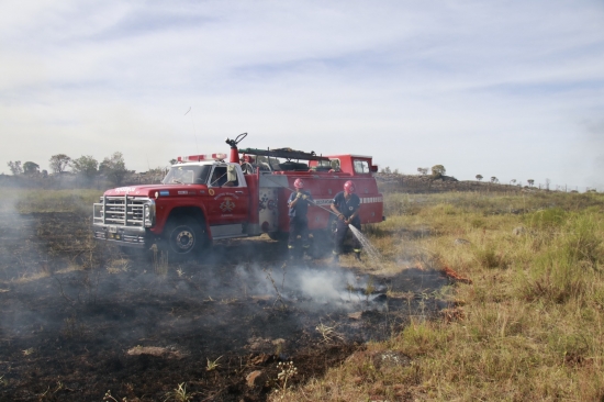 Incendios Forestales: La Prevención como Principal Herramienta de Combate